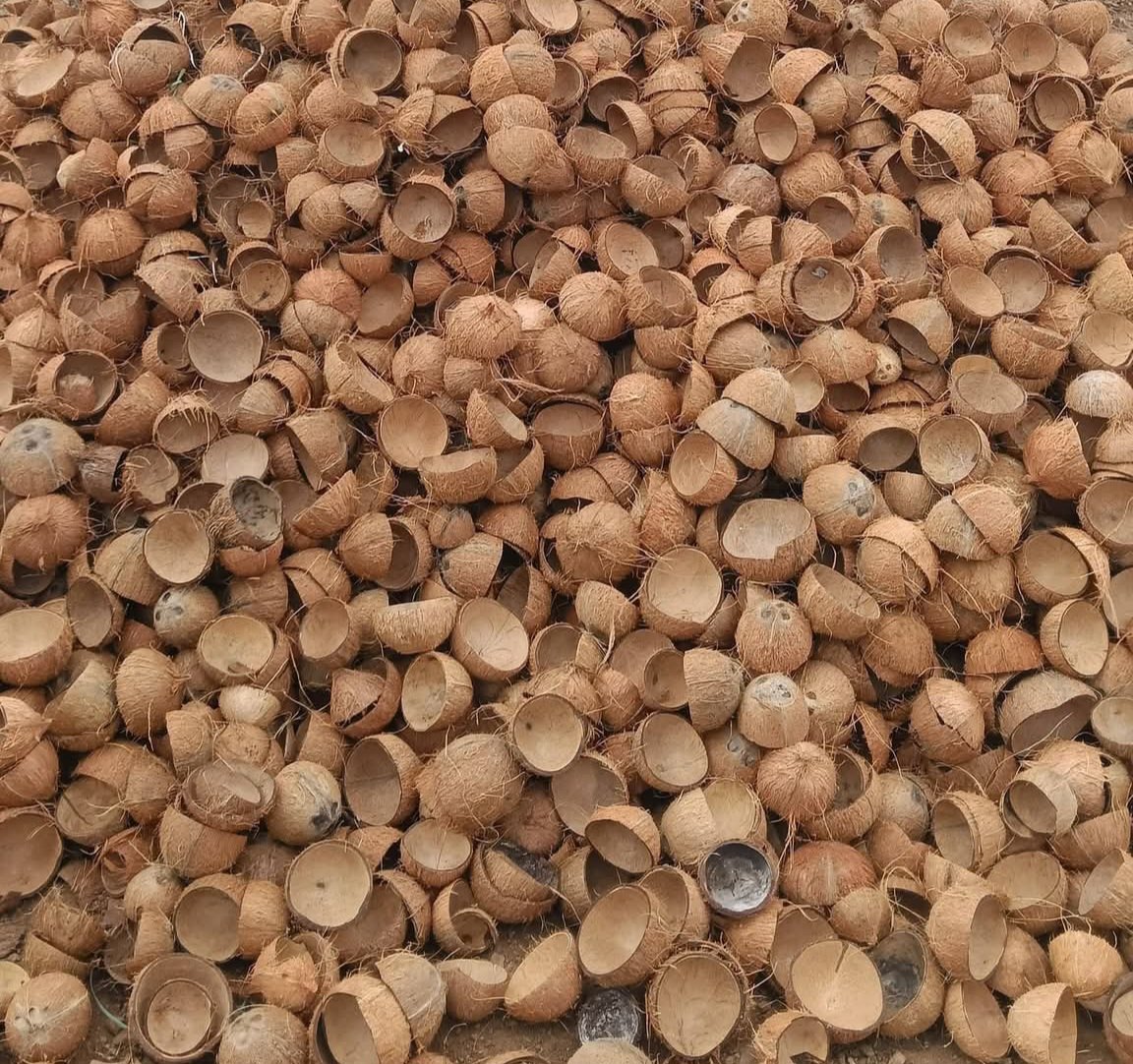 Raw Material Selection
