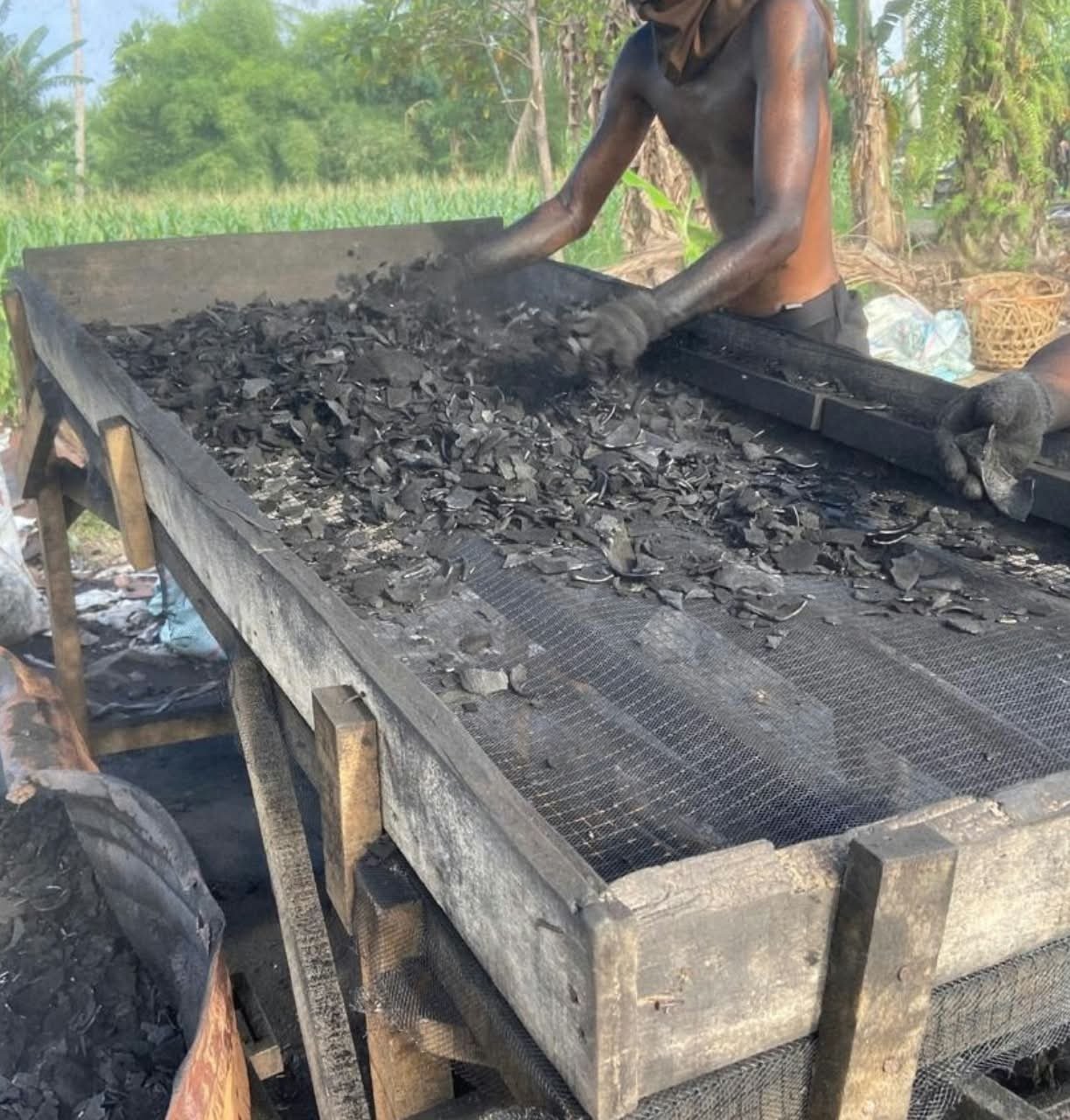 Coconut shell charcoal for wholesale and bulk supply